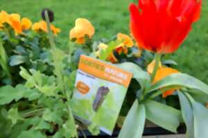 Animation nature : les oiseaux de la plaine