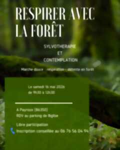 Respirer avec la forêt