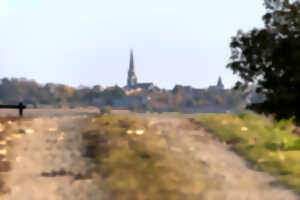 Les visites d'Anthony : randonnée à Seuilly