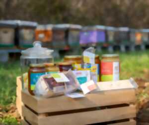 Rencontre avec nos amies les abeilles de Persac