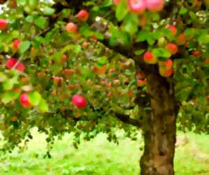 Secrets et savoir-faire de la Ferme du Léché à Saulgé