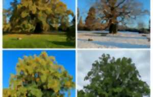 Jardin de Lessines - Rendez-vous aux jardins
