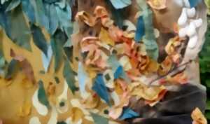 La Finquita - Rendez-vous aux jardins