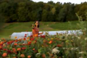 Courgette et poulette  Visite de la ferme florale