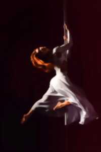 Domaines du Moulin Authier : Show et découverte Pôle Dance