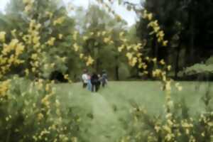 photo Journée nature