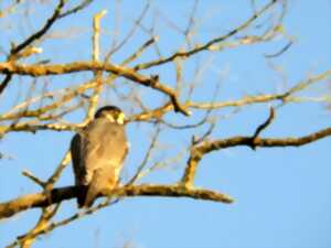 Sortie Bord de Vienne