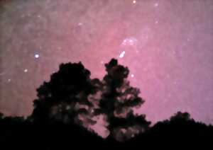Soirée magique sous les étoiles