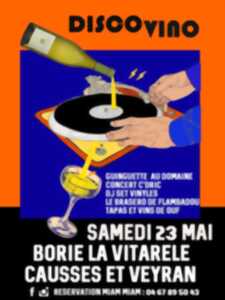 DISCO VINO