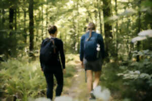 Randonnée pédestre