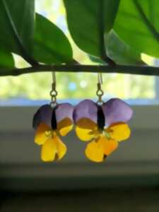 Rencontre avec Ingrid Decroix d'Eclosion végétale