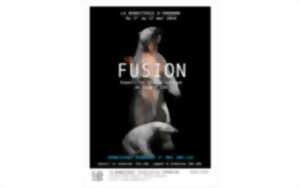 Exposition Fusion de Sandie Louit