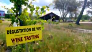 Dégustations gratuites de vins