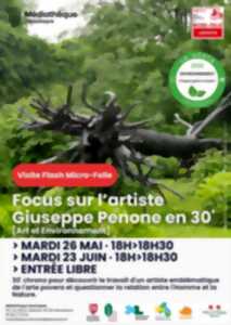 photo Visite Flash : Giuseppe Penone : la relation entre Homme et Nature