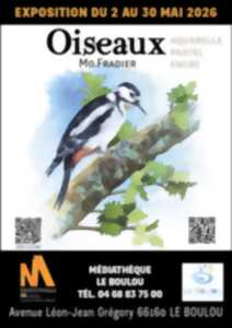 « OISEAUX » MO FRADIER