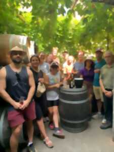 VISITE DES CAVES DE PIETRI GÉRAUD + DÉGUSTATION