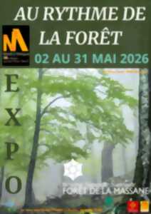 AU RYTHME DES FORÊTS : LA FORÊT DE LA MASSANE