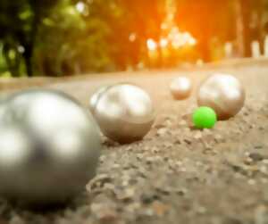 CONCOURS DE PÉTANQUE