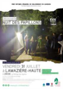 Nuit des papillons
