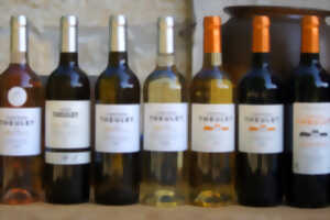 photo Visite et dégustation de 7 vins - 16h | Vignobles Alard