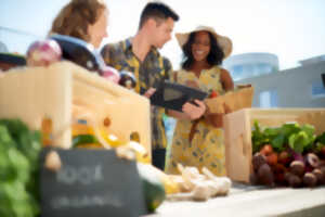 Marché des producteurs de pays
