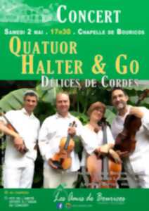 photo Concert - Quatuor Halter & Go - Délices de cordes
