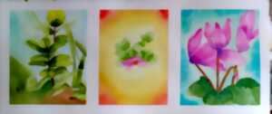 Les aquarelles de Deborah