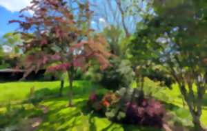 Visite du jardin de l'Emile au Foyer Rural