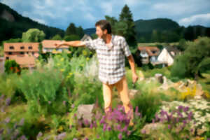 La biodiversité en Alsace : Hortus Hymenoptera