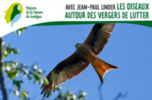 Les Oiseaux autour des vergers de Lutter