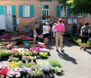 Marché aux fleurs