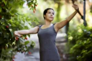Cours de wutao