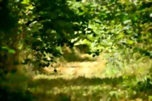 Mundat : Entres les lignes