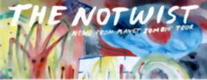 photo THE NOTWIST
