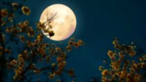 Randonnée pleine lune