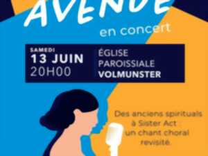 photo Vocal'Avenue chante à Volmunster