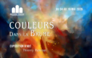 photo Couleurs dans la Brume – Deuxième édition
