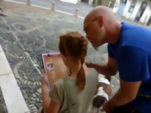photo Mission Sainte-Foy : le code du chapiteau