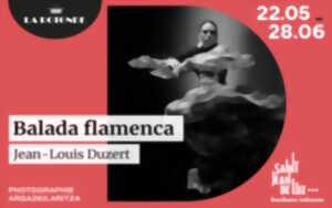 photo Exposition à la Rotonde : Balada flamenca