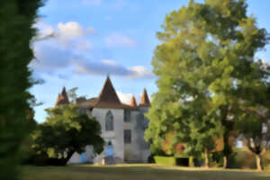 Château de Panisseau | Visite de la propriété viticole 16h