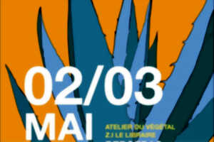 Le festival Les Printanières