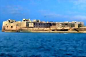 Visite commentée : Le fort de l'ile Pelée