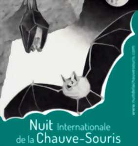 Nuit de la Chauve-Souris dans la Vallée du Thaurion