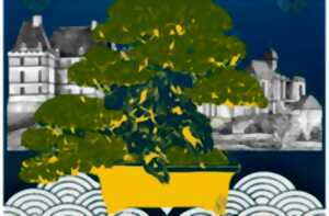 photo Exposition | Bonsai et suiseki