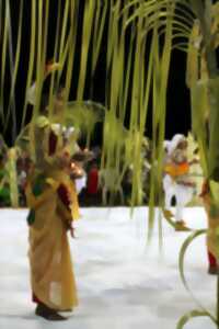 photo Les danses srilankaises par Jyotsna Liyanaratne