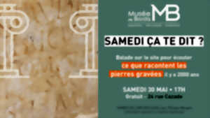 photo Samedi, ça te dit ?