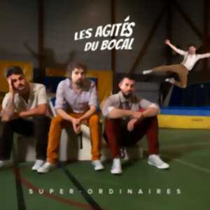 13e Festival d'été de Queaux - Les agités du bocal