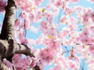 Fête du Printemps