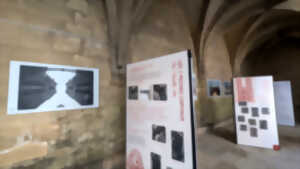 photo Exposition à Laon : 
