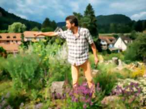 La biodiversité en Alsace : Hortus Hymenoptera